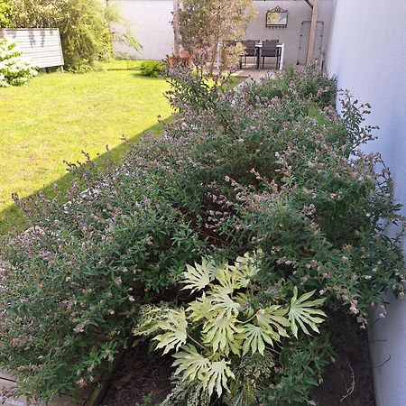 Planchesdisa Villa แซ็งต์-แปร์-ซูร์-แมร์ ภายนอก รูปภาพ