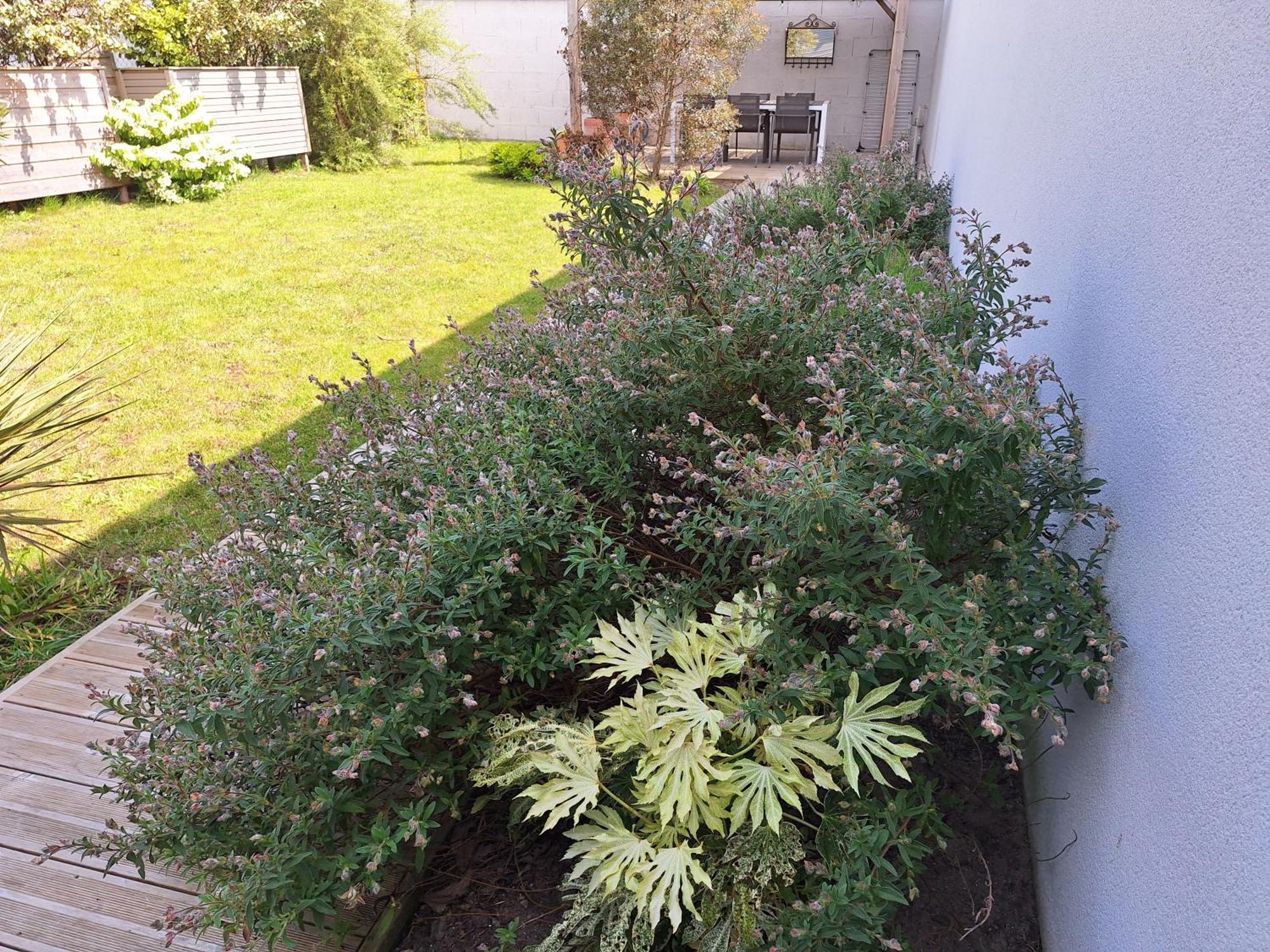 Planchesdisa Villa แซ็งต์-แปร์-ซูร์-แมร์ ภายนอก รูปภาพ
